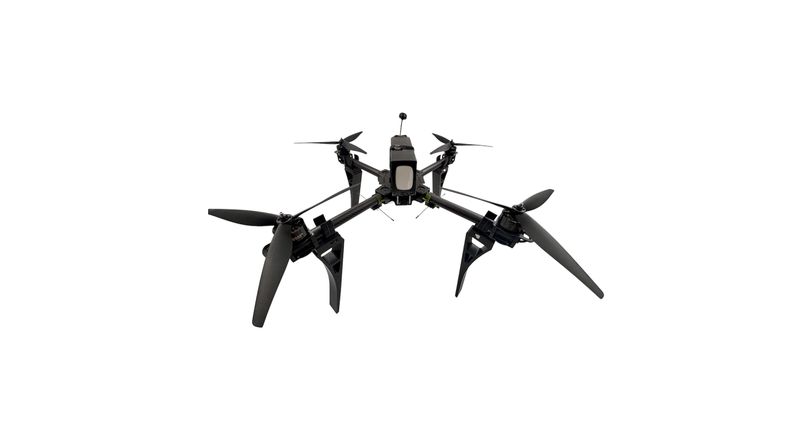 ZANOZA-15
